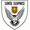 KS SOKÓŁ