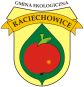 Gmina Raciechowice