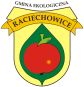 Gmina Raciechowice